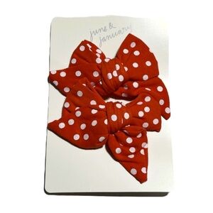 NEW! June & January Poppy w/ Snow hair bow clips
